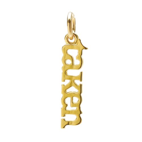 taken charm, gold dipped