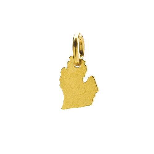 michigan charm, gold dipped
