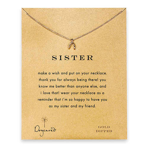 sister reminder necklace with gold dipped wishbone