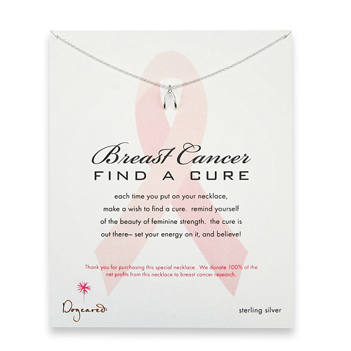 breast cancer find a cure sterling silver reminder necklace with wishbone - 18 inch