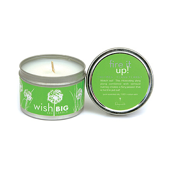 wish big travel tin soy candle-fire it up : Dogeared Jewels and Gifts : essential oils earth day wish big fire it up lime green