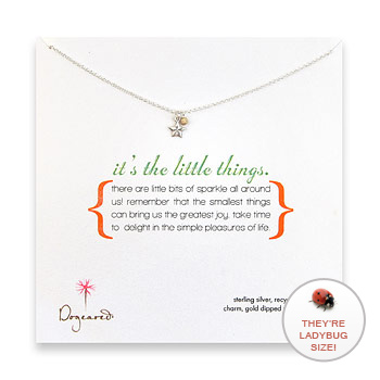 it's the little things sterling silver necklace with lucky star charm