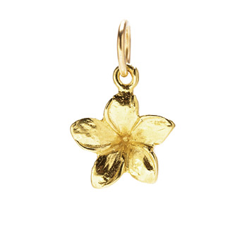 plumeria+charm%2C+gold+dipped