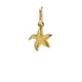 starfish+charm%2C+gold+dipped