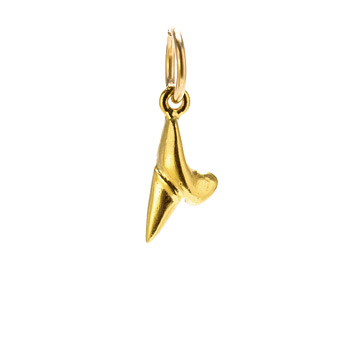 shark+tooth+charm%2C+gold+dipped