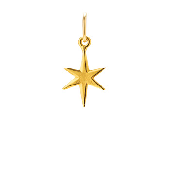 bright+star+charm%2C+gold+dipped