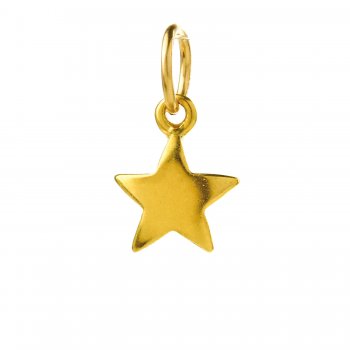 full+star+charm%2C+gold+dipped