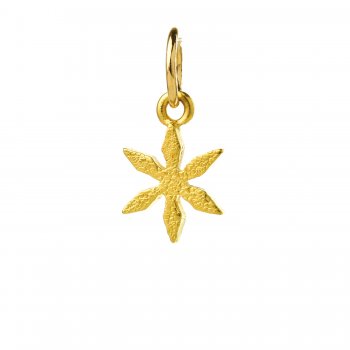 star flower charm, gold dipped