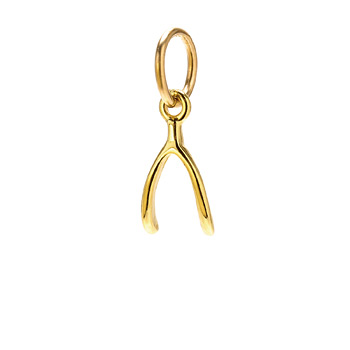 wishbone+charm%2C+gold+dipped