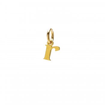 open+r+charm%2C+gold+dipped