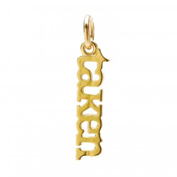 taken+charm%2C+gold+dipped