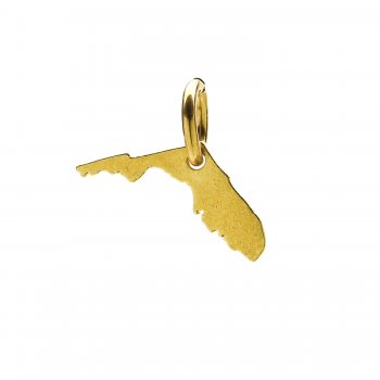 florida+charm%2C+gold+dipped