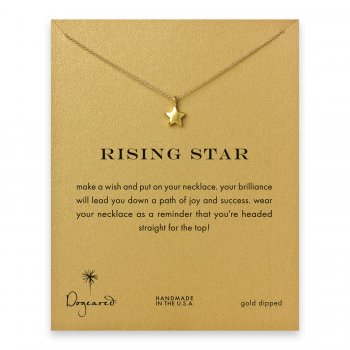 rising+star+full+star+necklace%2C+gold+dipped