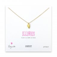 illinois necklace, gold dipped