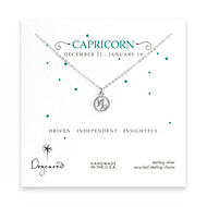 capricorn zodiac sterling silver necklace