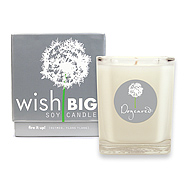 wish big glass soy candle- fire it up!