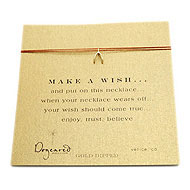 make a wish necklace with gold dipped wishbone... the original