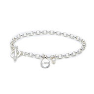 joined at the wrist - a sisters charm bracelet