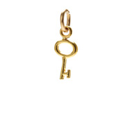 simple key charm, gold dipped