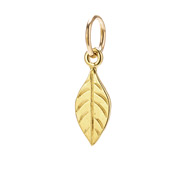 sage charm, gold dipped