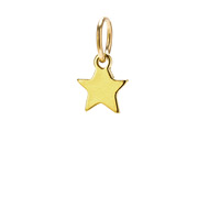star charm, gold dipped
