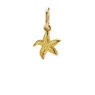 starfish charm, gold dipped