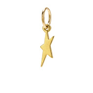 dancing star charm, gold dipped