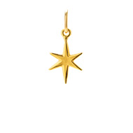 bright star charm, gold dipped