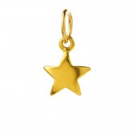 full star charm, gold dipped
