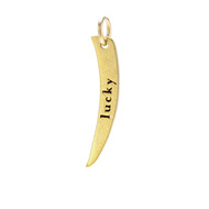 "lucky" curve charm, gold dipped