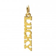 lucky charm, gold dipped