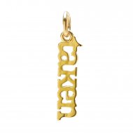 taken charm, gold dipped