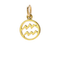 zodiac "aquarius" charm, gold dipped