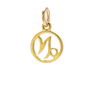 zodiac "capricorn" charm, gold dipped