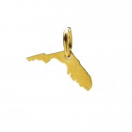 florida charm, gold dipped