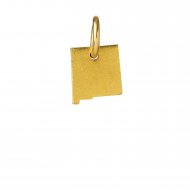 new mexico charm, gold dipped