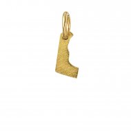 delaware charm, gold dipped