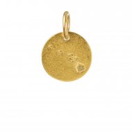 hawaii charm, gold dipped