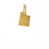 utah charm, gold dipped