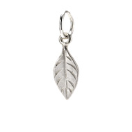 sage charm, sterling silver