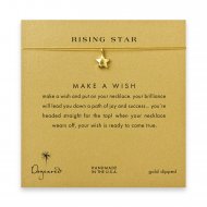 rising star full star necklace on gold, gold dipped