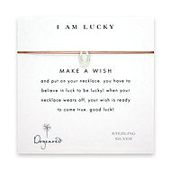 i am lucky make a wish necklace with sterling silver horseshoe on tobacco