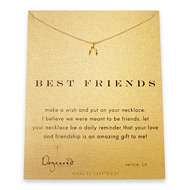 best friends reminder necklace with gold dipped wishbone
