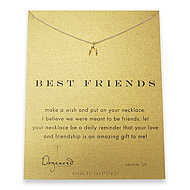 best friends reminder necklace with gold dipped wishbone