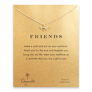friends dragonfly necklace, gold dipped