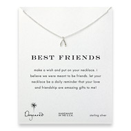 best friends wishbone necklace, sterling silver