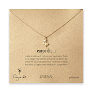 gold dipped carpe diem necklace