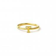 open t ring - gold dipped