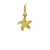 starfish