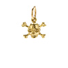 skull & crossbone